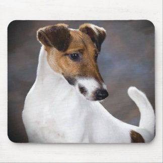 Mousepad Cão de Russell Terrier do Parson