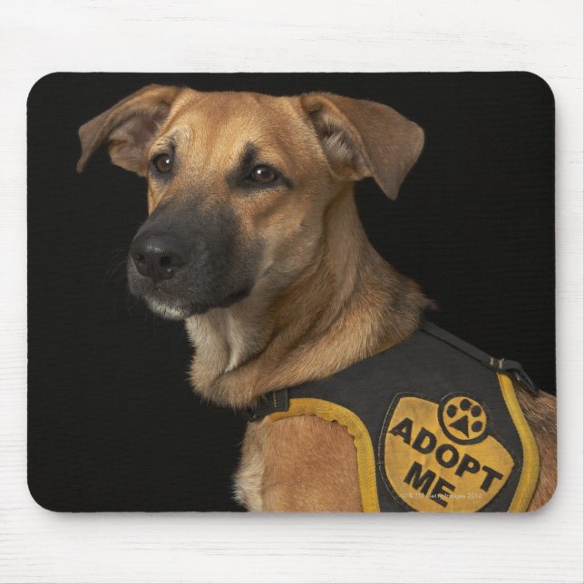 Mousepad Cão de salvamento marrom com o colete de adoção (Frente)