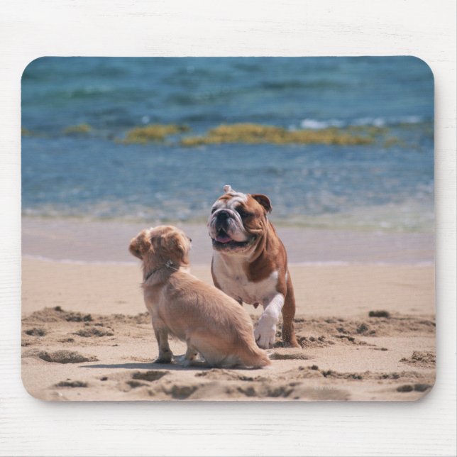 Mousepad Cão de Sandy Beach (Frente)