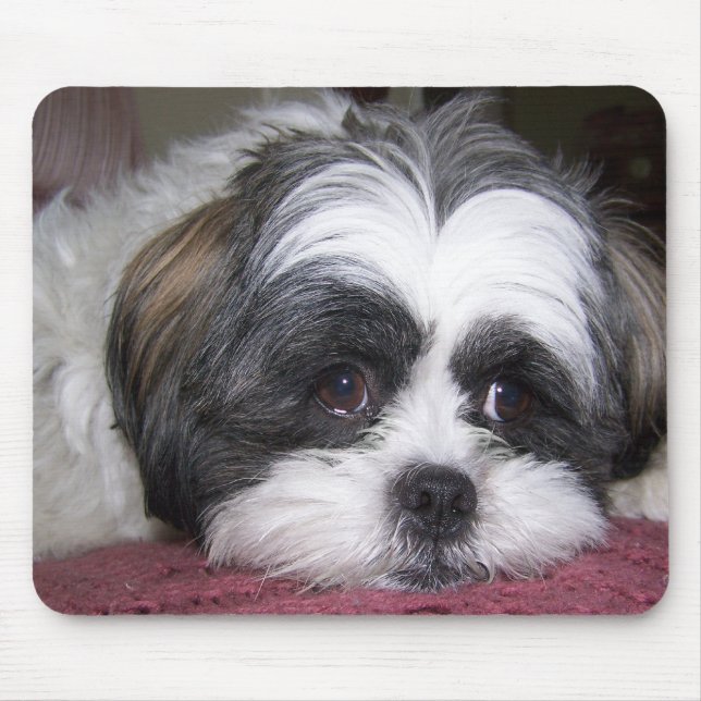 Mousepad Cão de Shih Tzu (Frente)