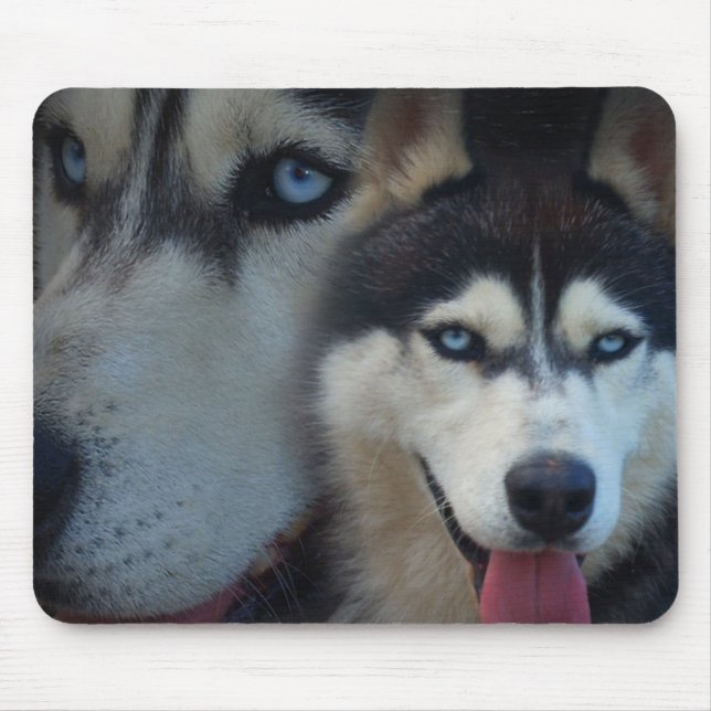 Mousepad Cão de trenó do Alasca - rouco (Frente)
