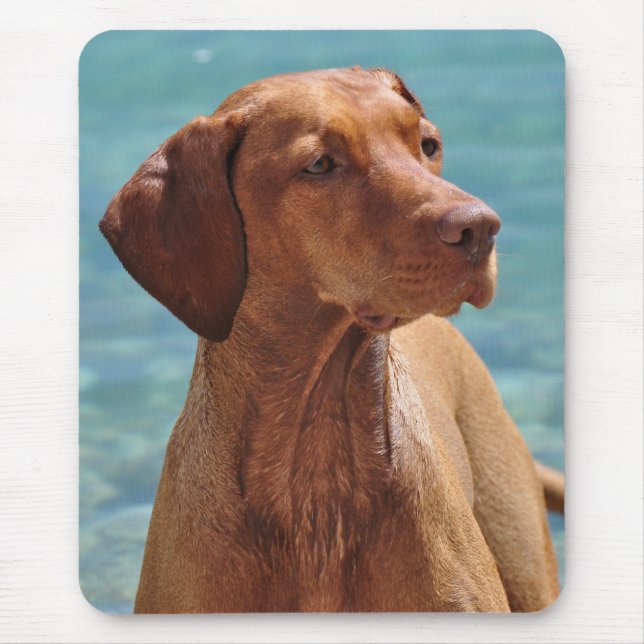 Mousepad Cão de Vizsla do Magiar (Frente)