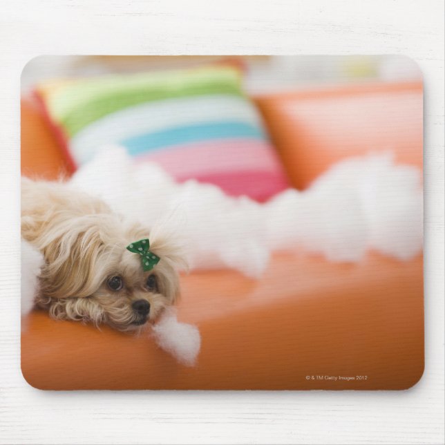 Mousepad Cão destrutivo (Frente)