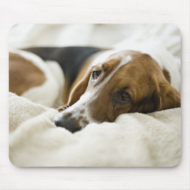 Mousepad Cão do Bassett (Frente)