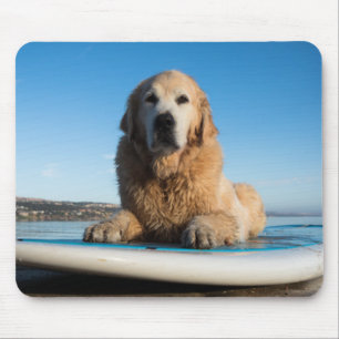 Mousepad Cão do golden retriever que coloca em um conselho