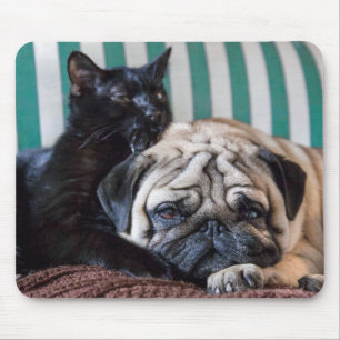 Mousepad Cão do Pug e gato preto que dormem junto