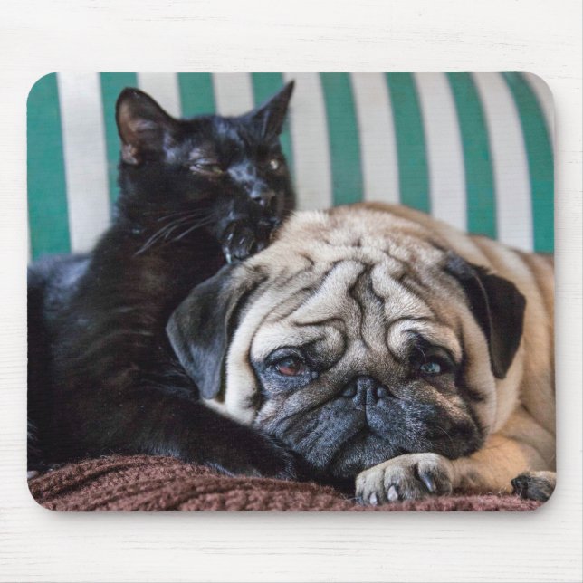 Mousepad Cão do Pug e gato preto que dormem junto (Frente)