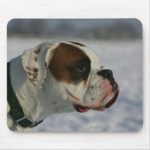 Mousepad Cão do pugilista na neve