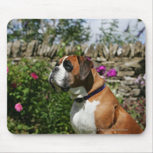 Mousepad Cão do pugilista nas flores