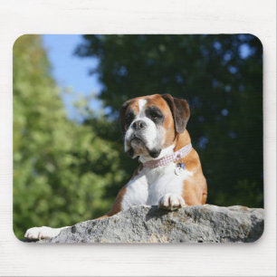Mousepad Cão do pugilista que coloca em uma rocha