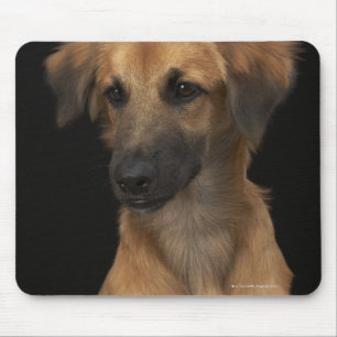 Mousepad Cão do resuce de Brown com o nariz preto no preto