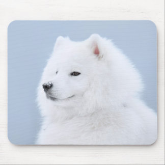 Mousepad cão do samoyed