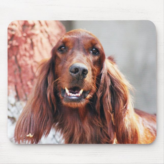 Mousepad Cão do setter irlandês (Frente)