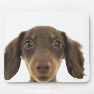 Mousepad Cão do Wiener (marrom) 2