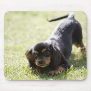 Mousepad Cão do Wiener (preto) 2