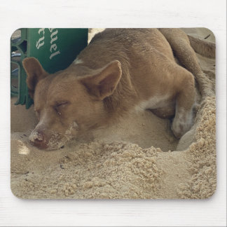 Mousepad Cão dormindo