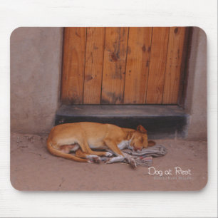 Mousepad Cão em Repouso