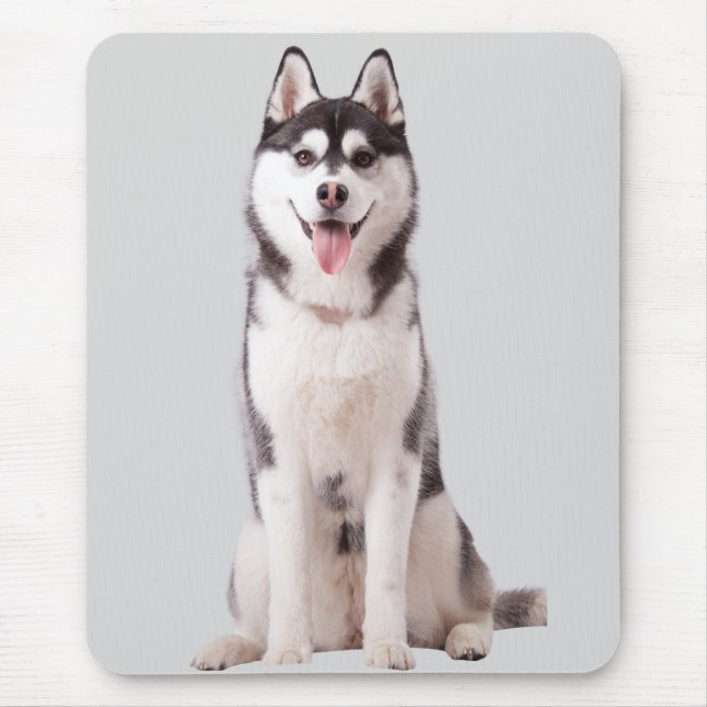 Mousepad Cão Husky Siberiano (Frente)