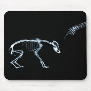Mousepad Cão mau azul dos esqueletos do raio X
