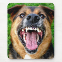 Cão médio com dentes grandes