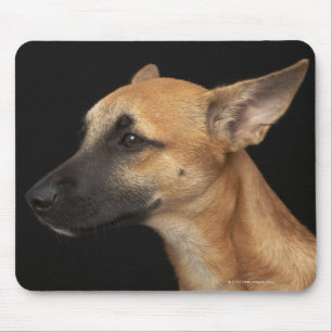 Mousepad Cão misturado da raça que olha à esquerda no pr