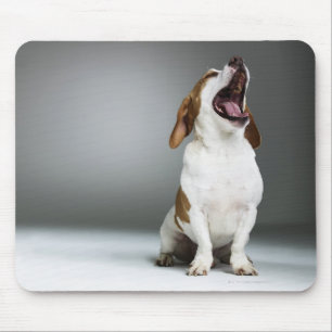 Mousepad Cão misturado que boceja, fim-acima da raça
