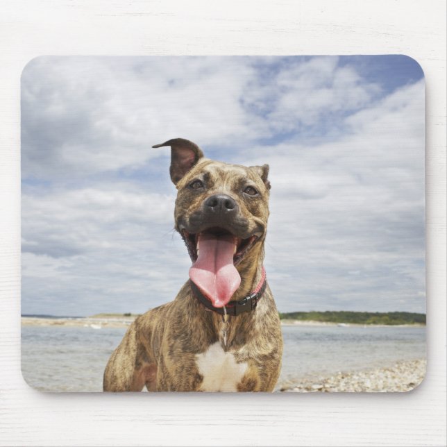 Mousepad cão na praia (Frente)