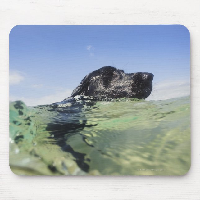 Mousepad Cão nadando na água (Frente)
