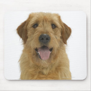 Mousepad Cão no branco 44