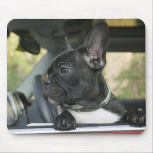 Mousepad Cão no carro