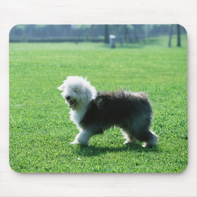 Mousepad Cão-Ovelha Inglês (Frente)