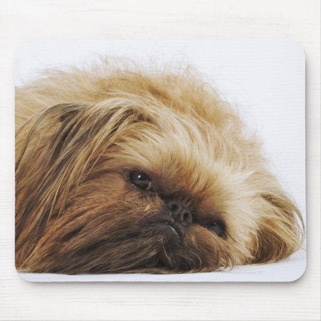 Mousepad Cão Pekingês, feche (Frente)