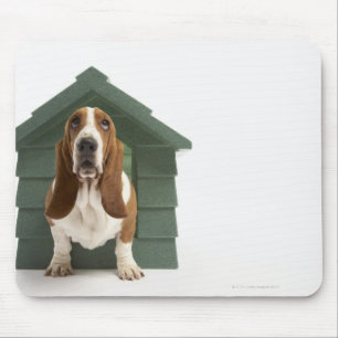 Mousepad Cão pela casa de cachorro