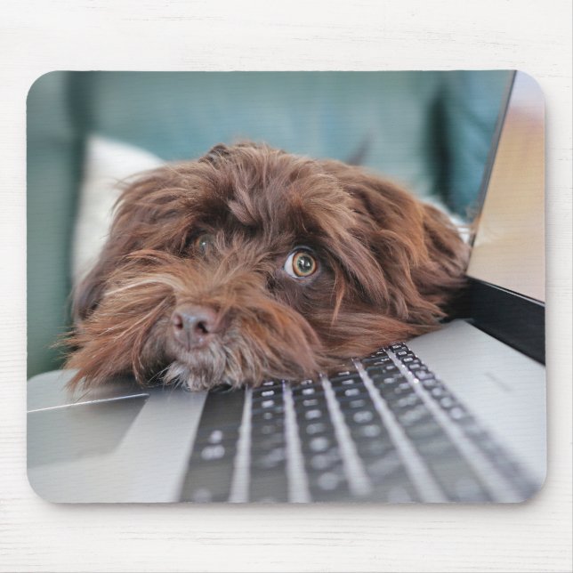 Mousepad Cão, Pet, Contenção (Frente)