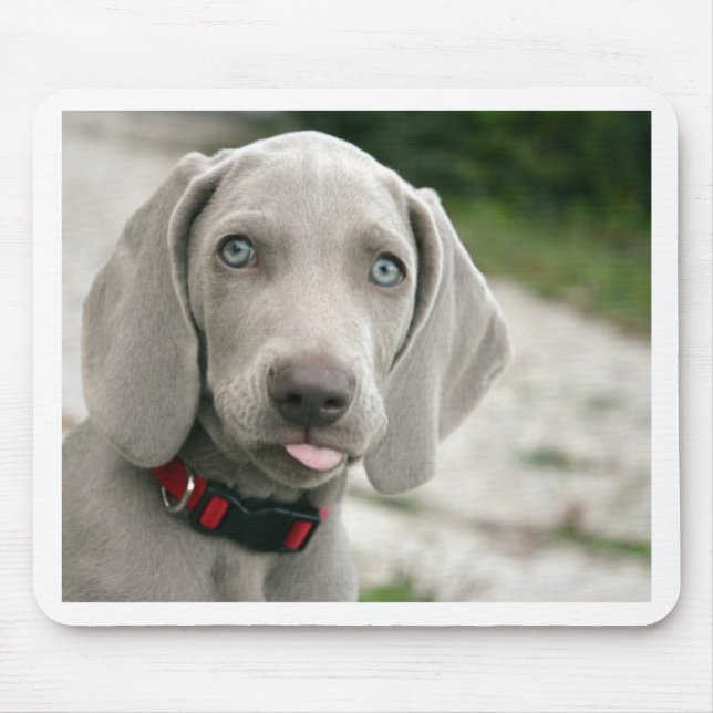 Mousepad Cão que cola a língua para fora (Frente)