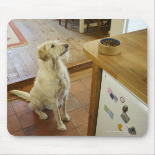 Mousepad Cão que olha a comida na tabela