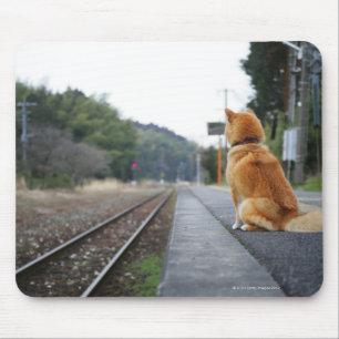 Mousepad Cão que senta-se no estação de caminhos-de-ferr