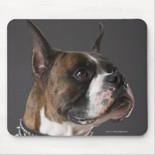 Mousepad Cão que veste o colar, olhando afastado