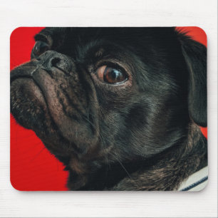 Mousepad cão rojo