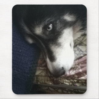Mousepad Cão Sonolento