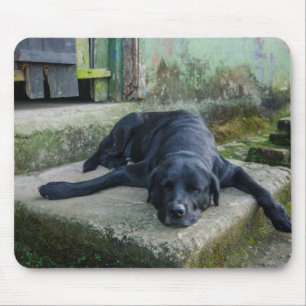 Mousepad Cão sonolento