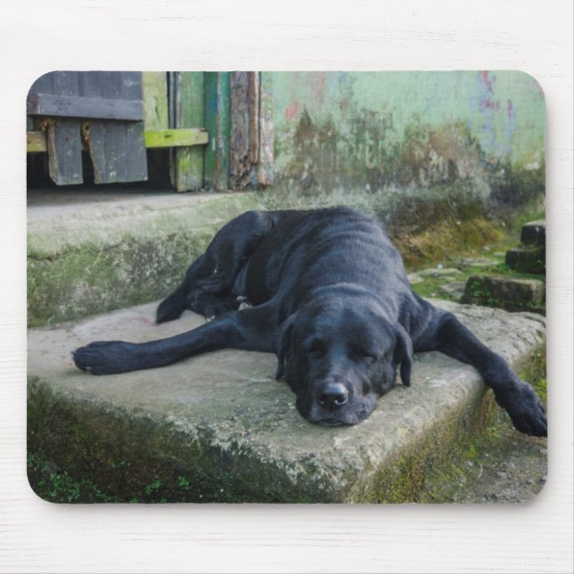 Mousepad Cão sonolento (Frente)