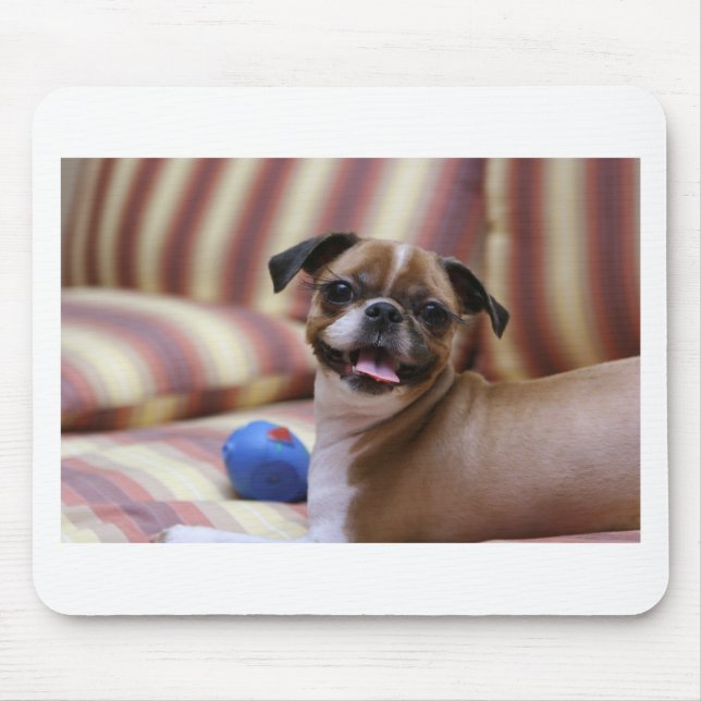 Mousepad Cão super bonito com sua bola favorita (Frente)