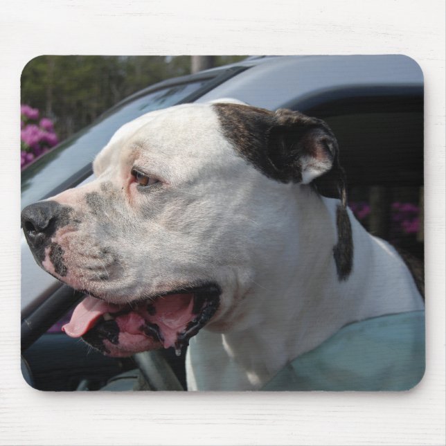 Mousepad Cão-Touro Americano (Frente)