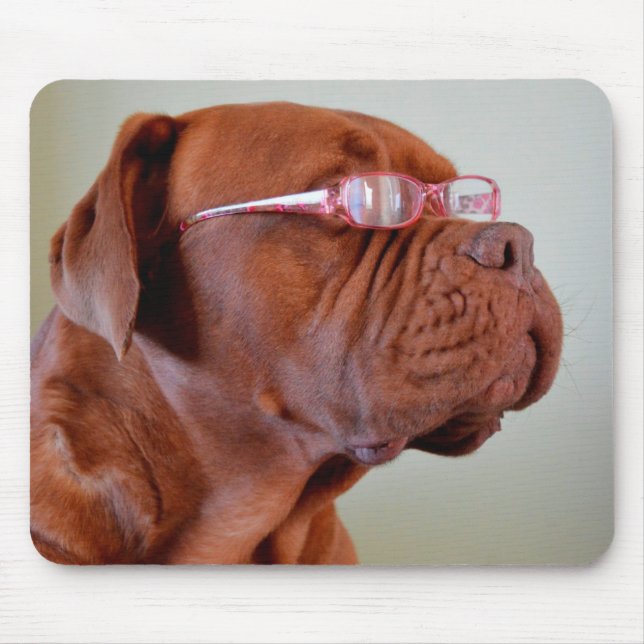 Mousepad Cão Vestindo óculos cor-de-rosa (Frente)