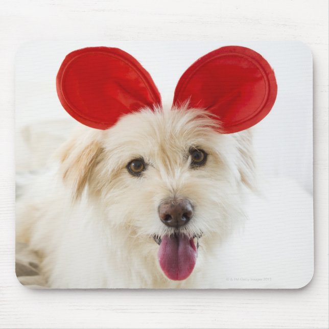 Mousepad Cão vestindo orelhas de brinquedo na cama (Frente)