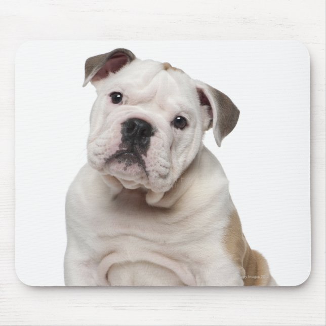 Mousepad Cãozinho-buldogue inglês (2 meses de idade) (Frente)
