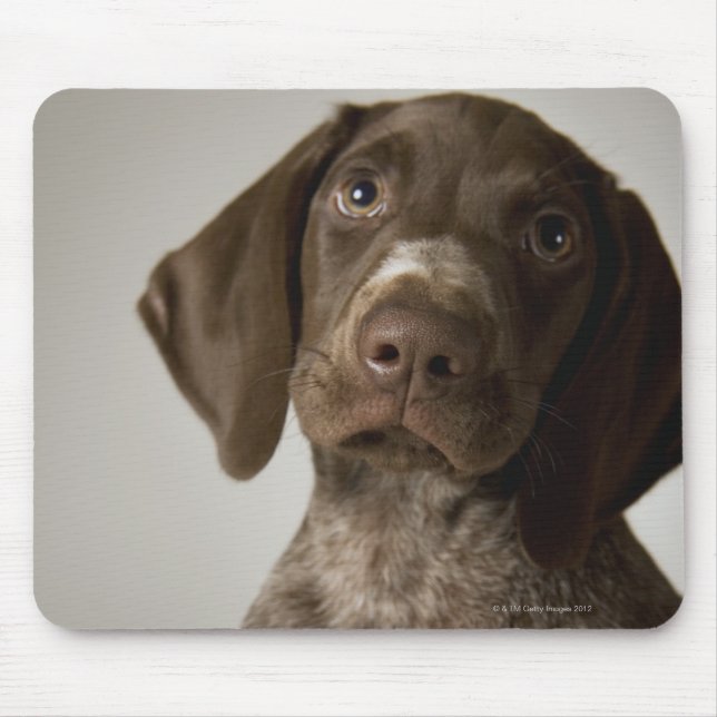 Mousepad Cãozinho de Ponteiro Alemão de Curto-Cabelo (Frente)