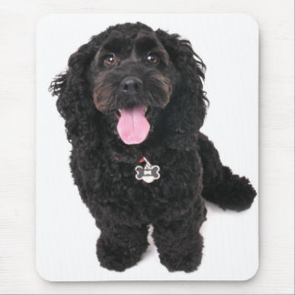 Mousepad cãozinho de poodle do cocker olhando para cima