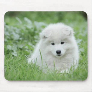 Mousepad Cãozinho Samovido